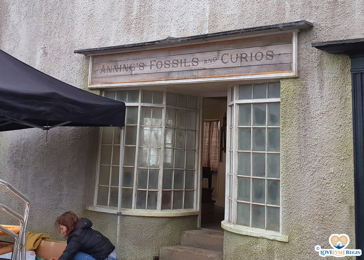 Mary Anning's shop