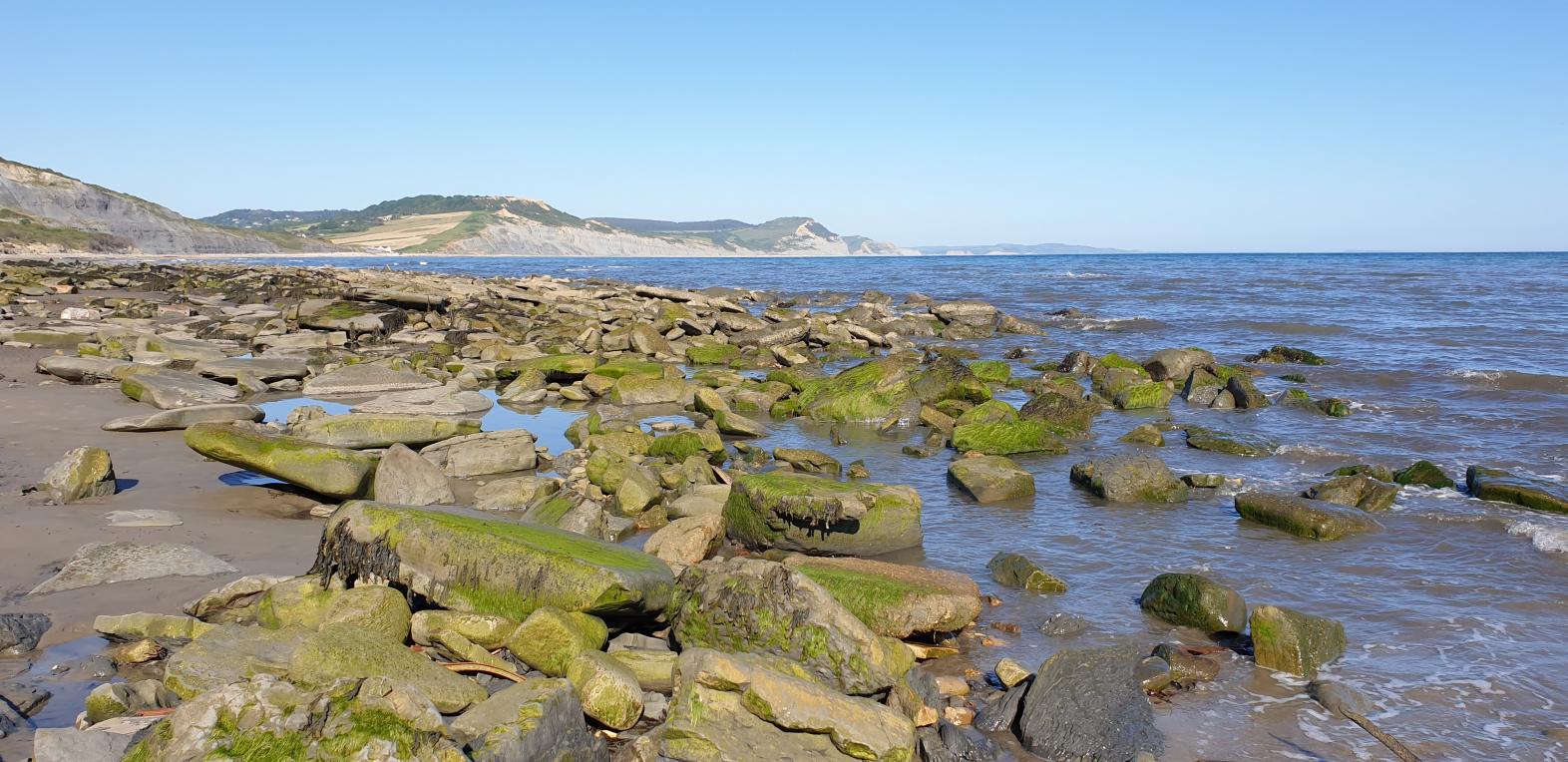 East Cliff beach rocks Lyme Regis