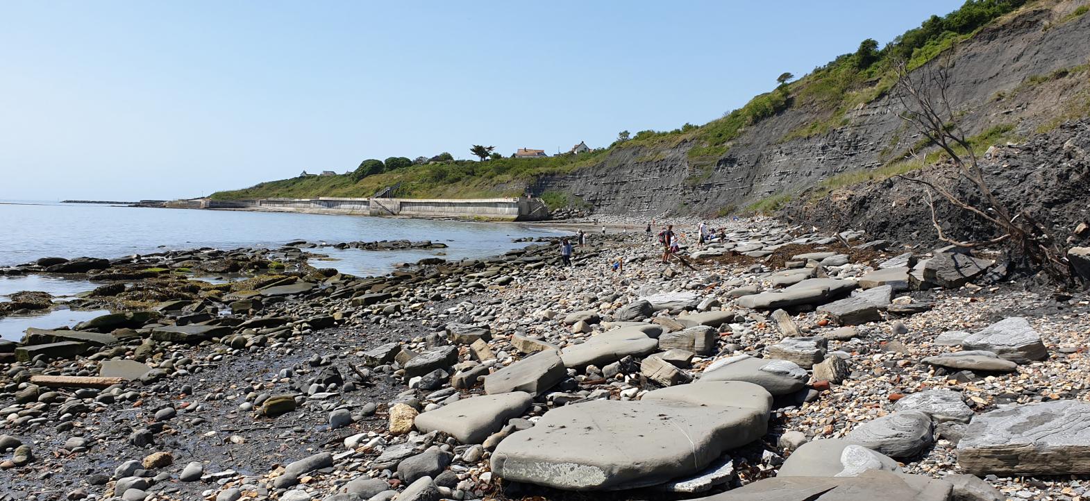 East Cliff fossil beach