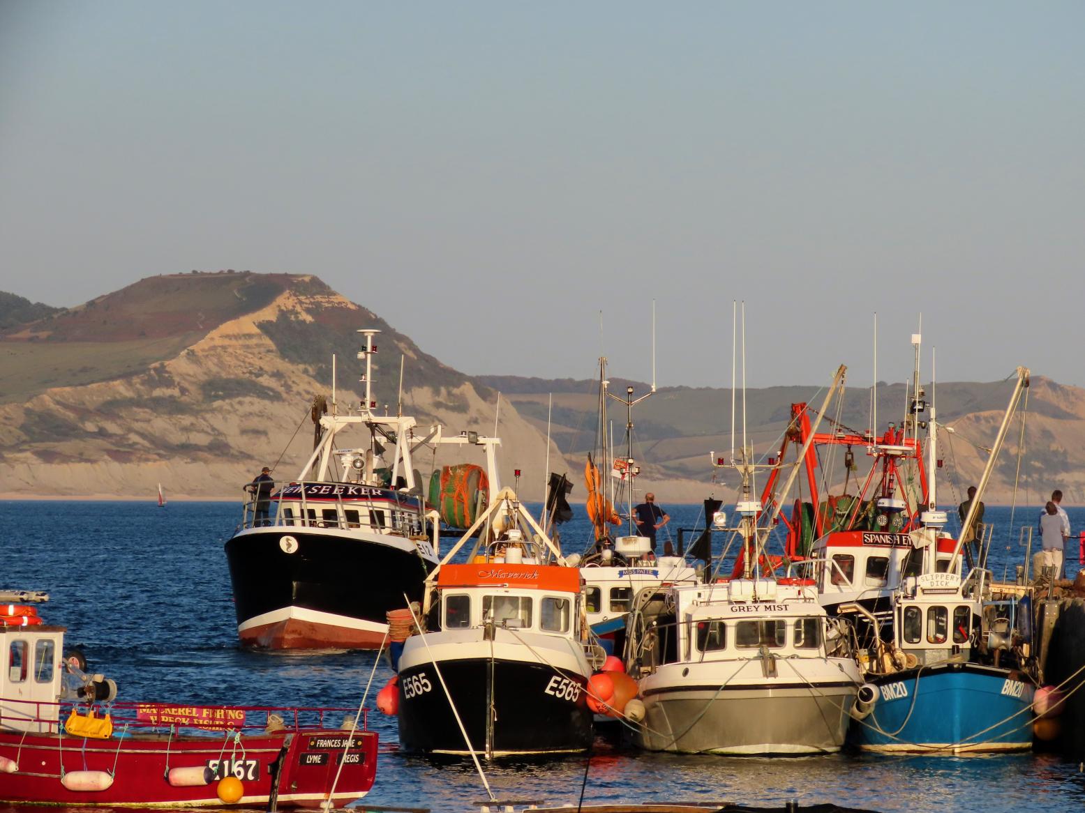 Fishing boats moored in Lyme Regis harbour