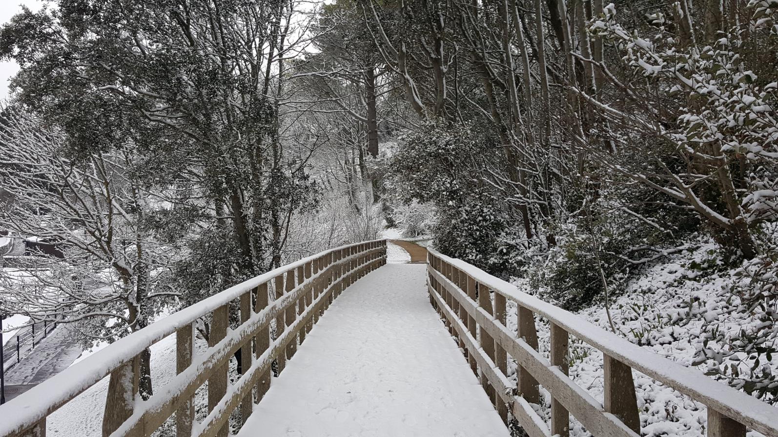 Snow Langmoor Gardens boardwalk