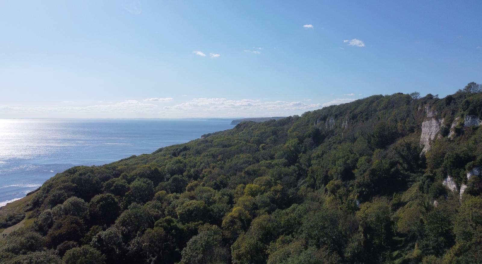Lyme to Axmouth Undercliff