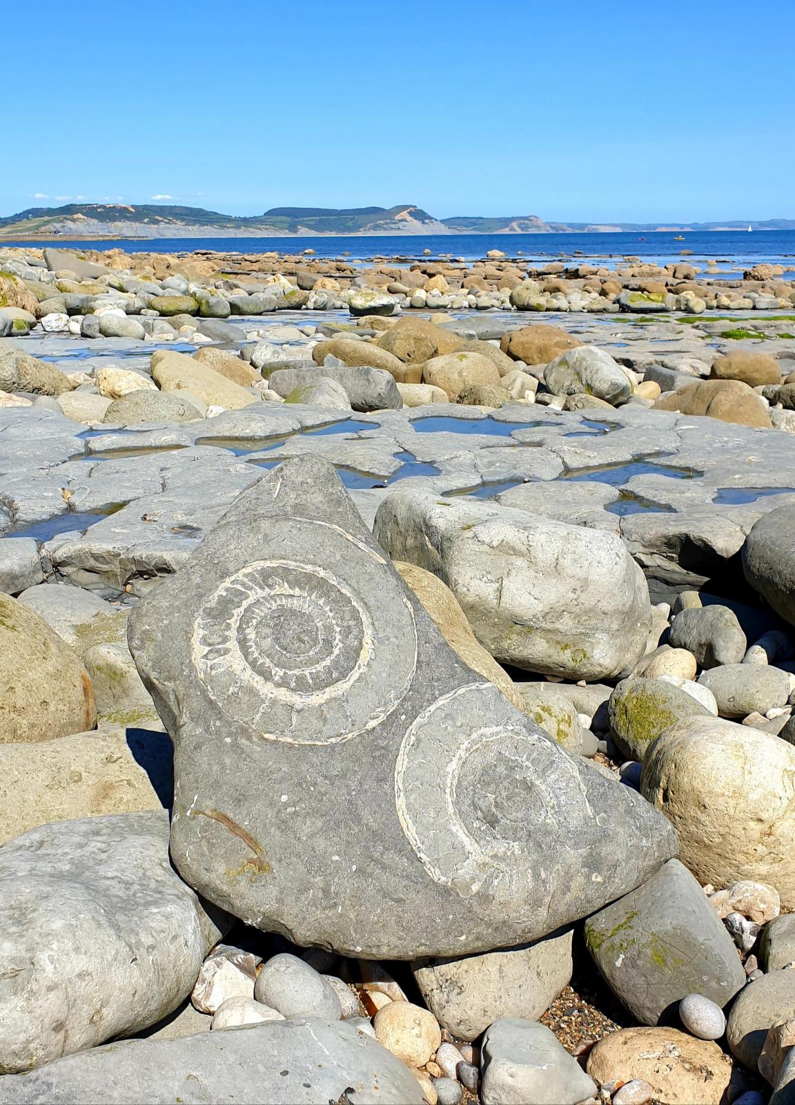 Monmouth Beach Love Lyme Regis Monmouth Beach Love Lyme Regis