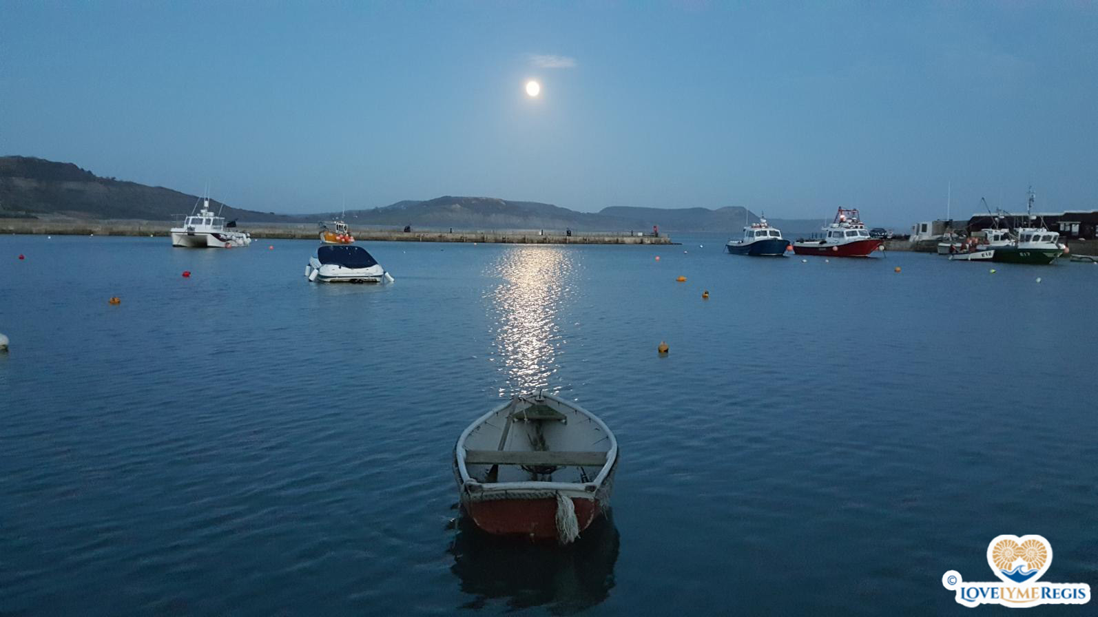 Moonlit harbour