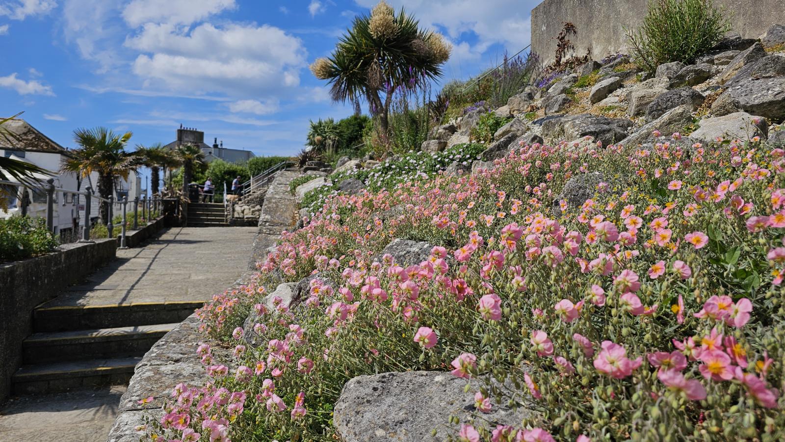 Jane Austen Garden - Love Lyme Regis