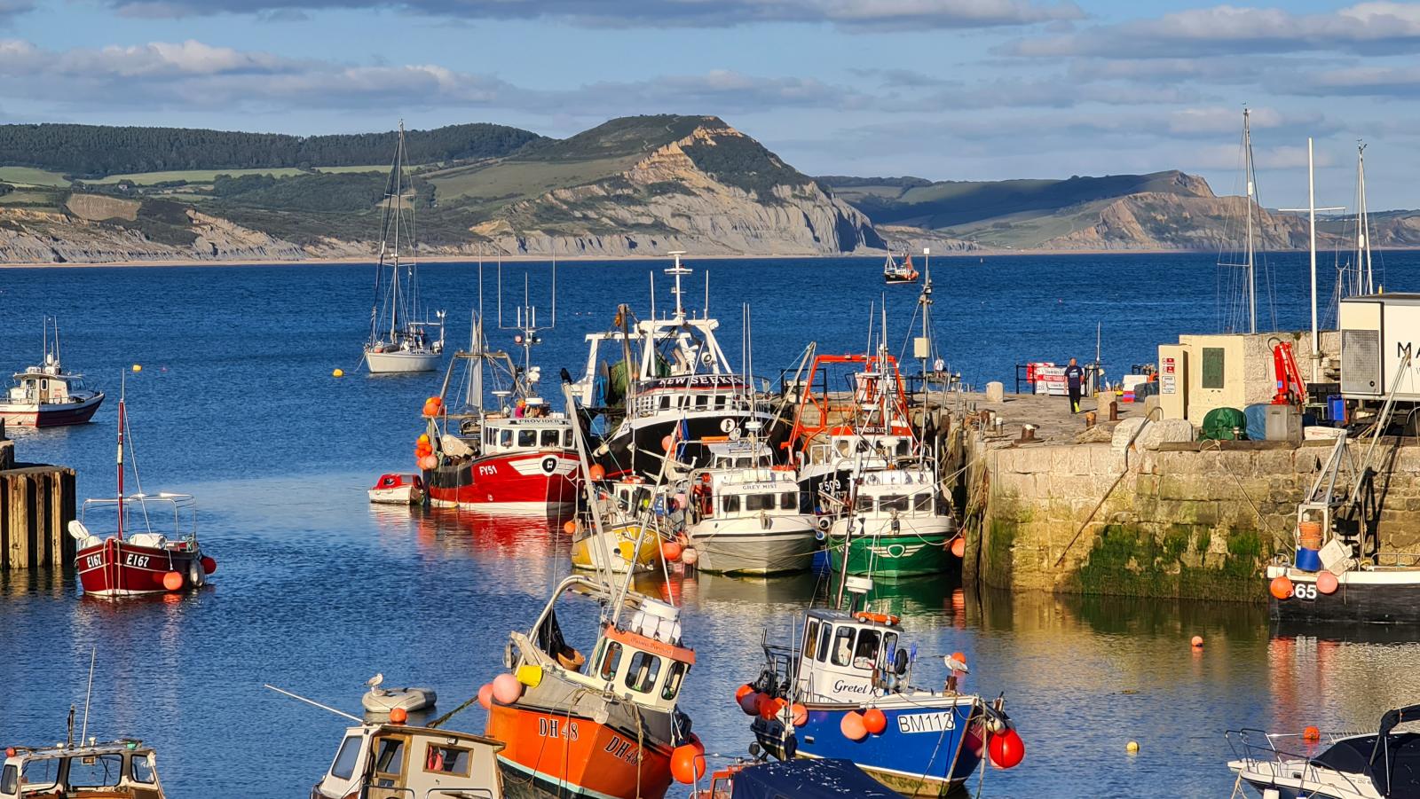 https://lovelymeregis.co.uk/images/projects/fishingboats-lymeregis-harbour.jpg