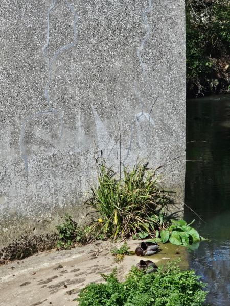 Faded Banksy in 2025