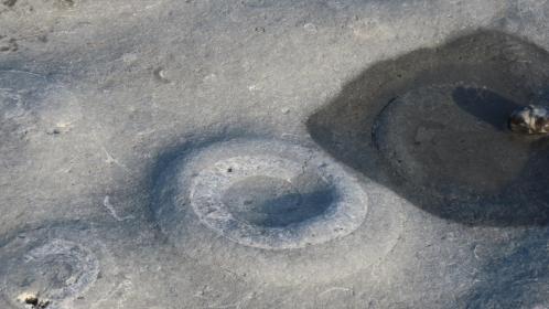 Ammonite pavement