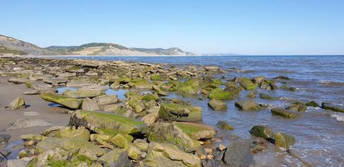 East Cliff beach rocks