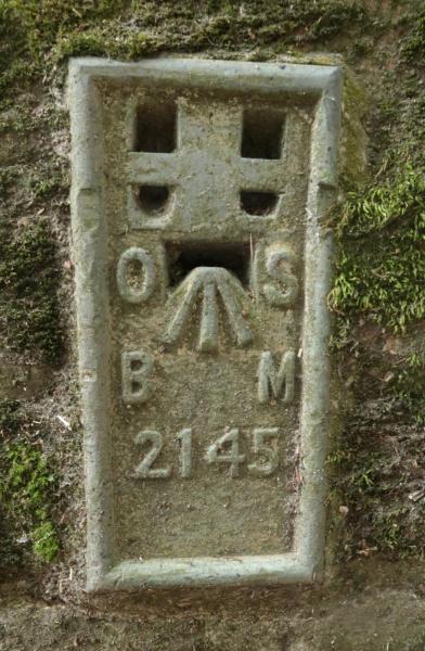 Ordnance Survey flush bracket bench mark on Horn Bridge