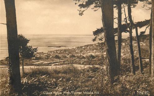 Lyme Regis from Timber Hill, circa 1937