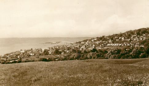 Lyme Regis from Timber Hill, circa 1950s