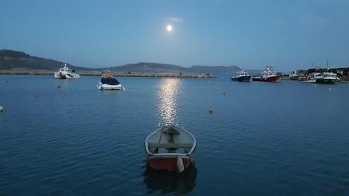 Moonlit harbour