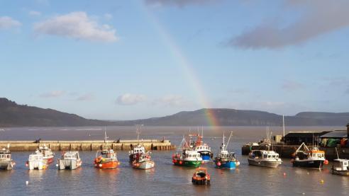 Rainbow over the harbour