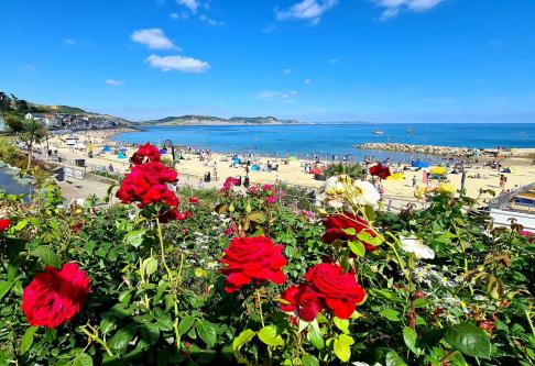 A blooming view - red roses and the stunning Jurassic coastline