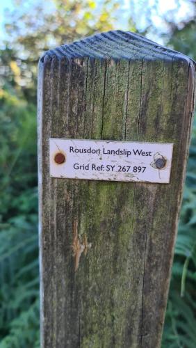 Rousdon landslip marker