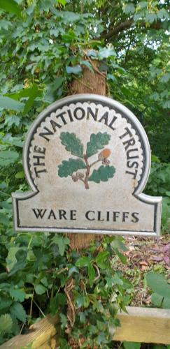Ware Cliffs - National Trust