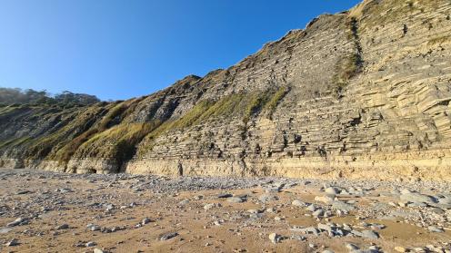 White lias and blue lias in the cliffs at Pinhay Bay